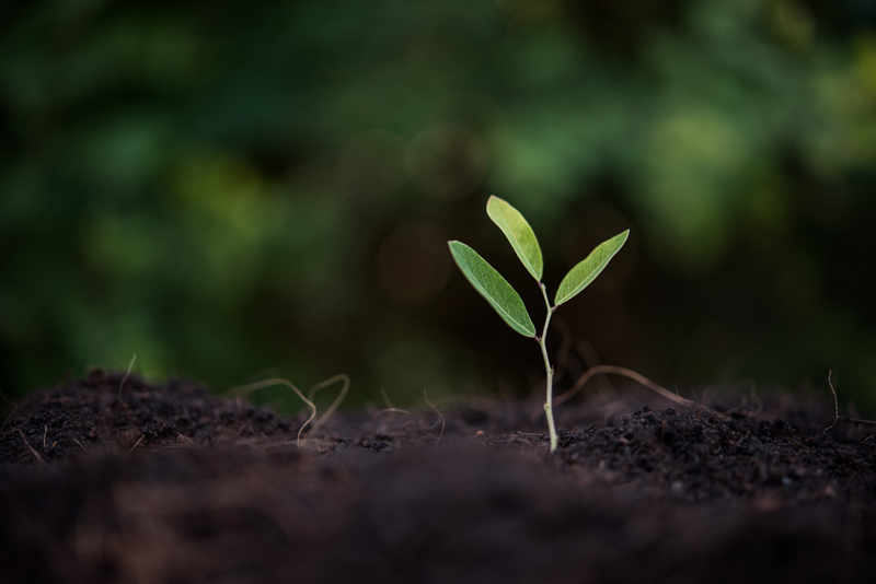 Potentia invests to power SuperChoice growth